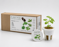 Hydroponic Italian Herb Mix Plant Pods