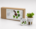 Hydroponic Summer Salad Pod Kit